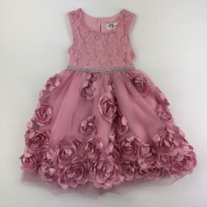 Nannette Toddler Girls 2T Pink Lace Party Dress 3D Flower Tulle Formal